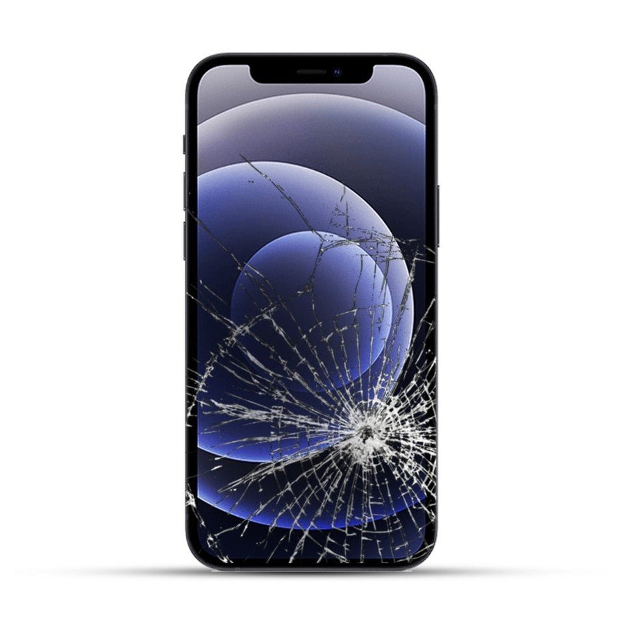 iPhone 12 Pro Max Reparatur
