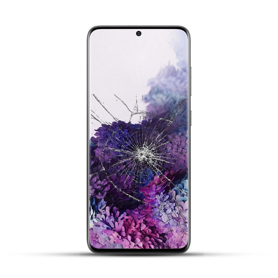 Galaxy S20 FE Reparatur
